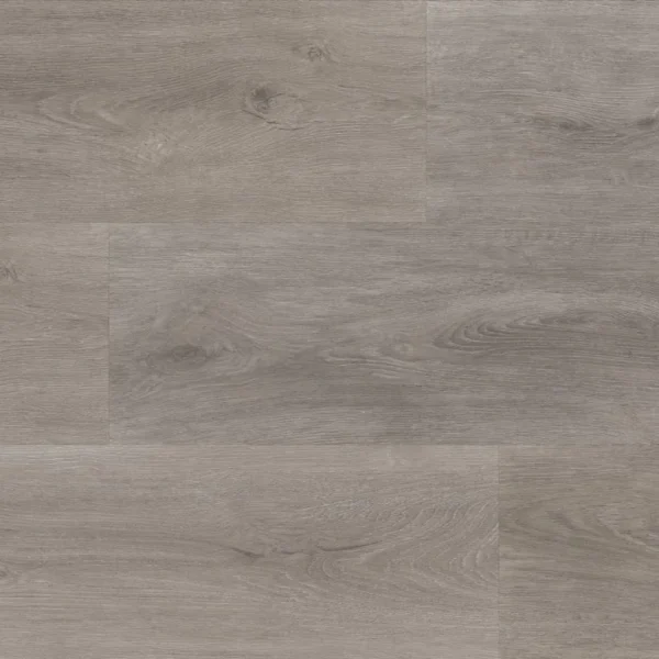 Parramatta dryback grey oak