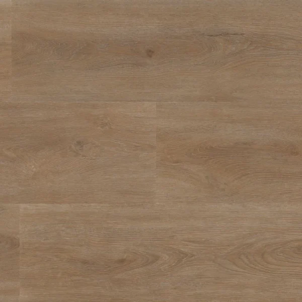 Parramatta dryback dark oak